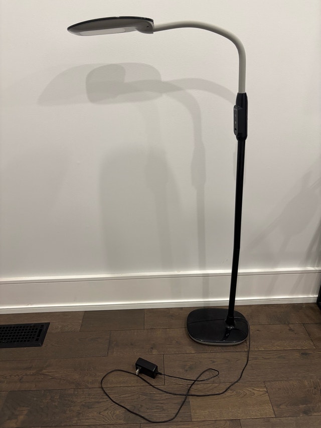 OttLite Floor Lamp