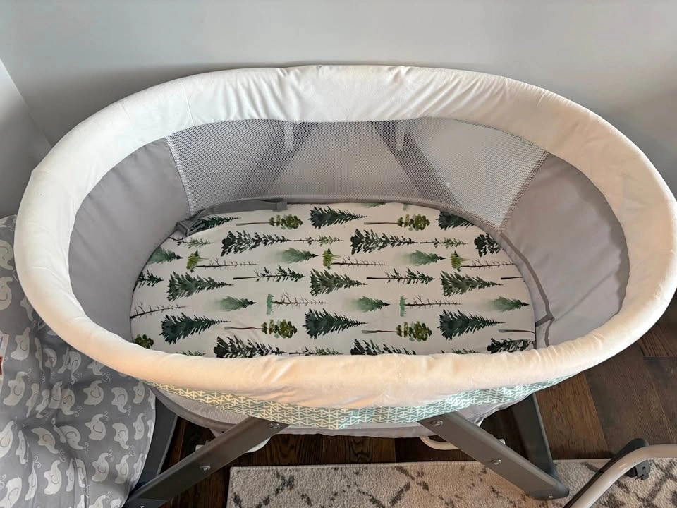 Baby Bassinet & Rocker