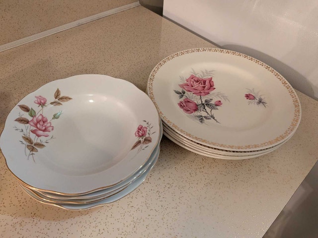 Vintage Rose Pattern Porcelain Plates