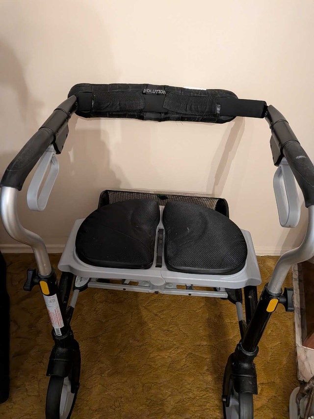 Evolution Walker