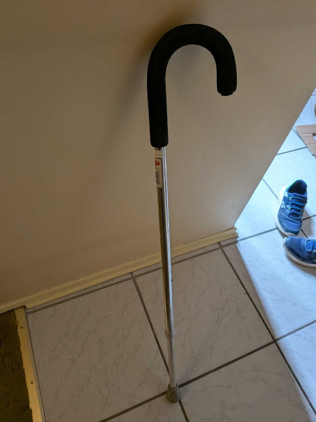 Medical Cane - photo 2