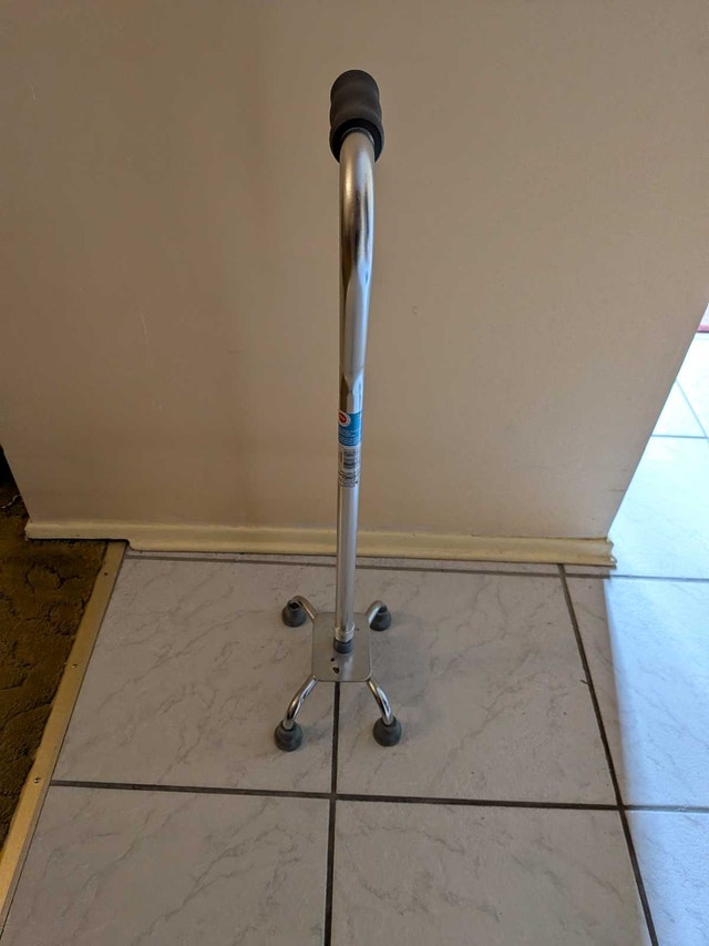 Medical Cane - photo 2
