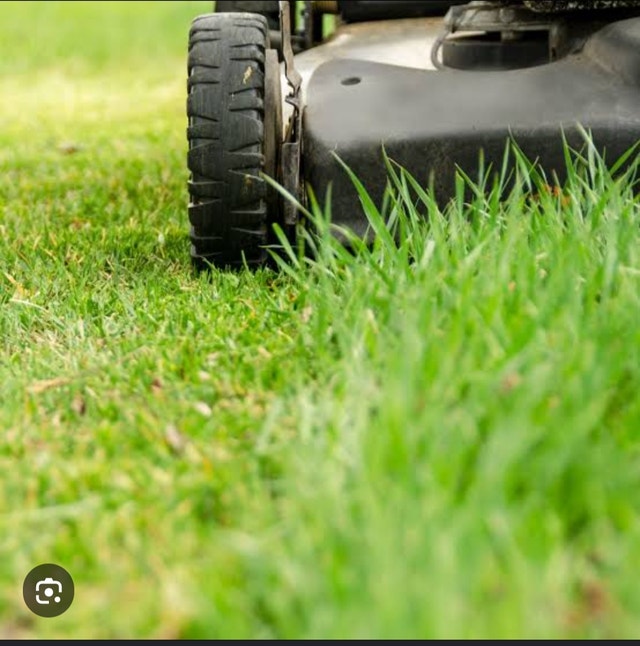 Lawn Mowing Services Calgary & Surrounding areas