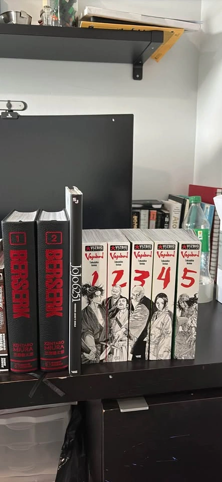 Mangas - photo 5