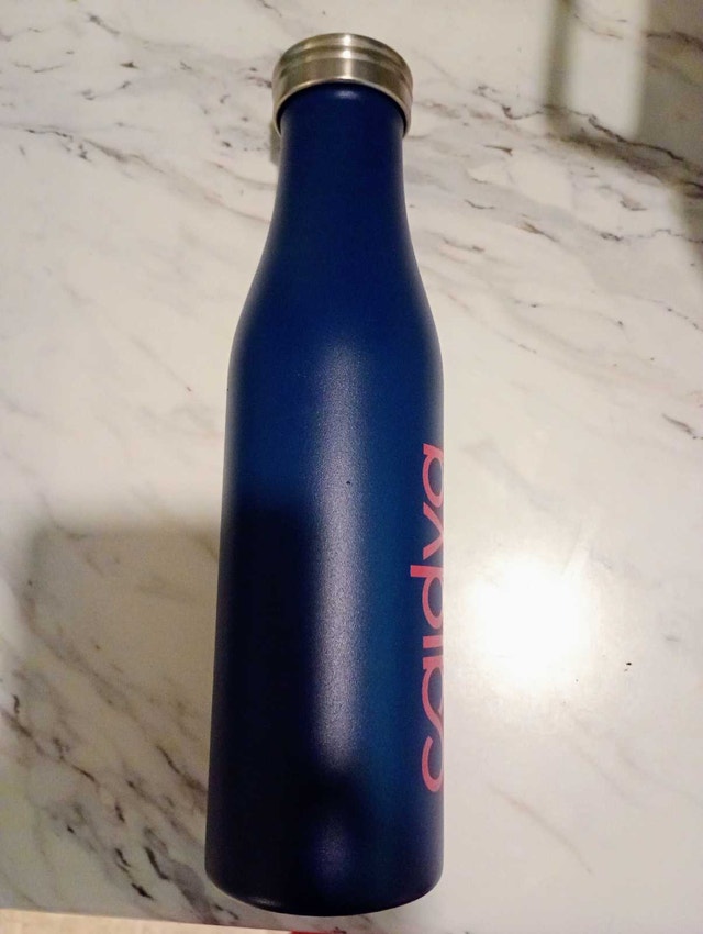 h2go steel 500 ml water bottle