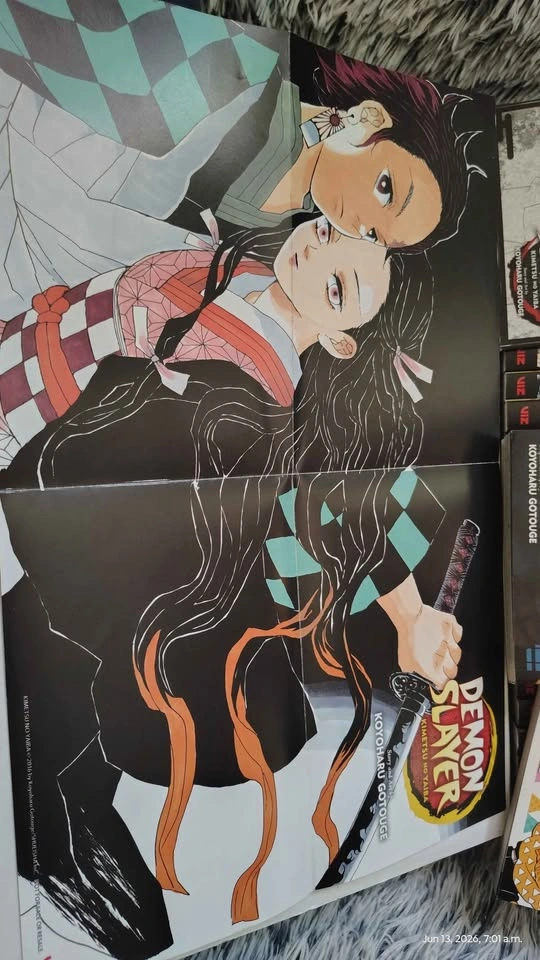 Demon Slayer manga 1-23 with two bonus books - photo 5