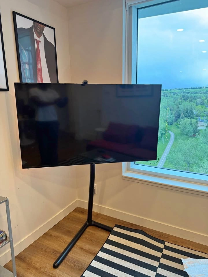 Modern TV Stand / Floor Mount