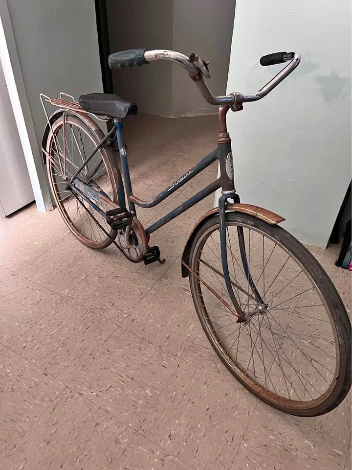 Vintage Schwinn Breeze (READ POST!)