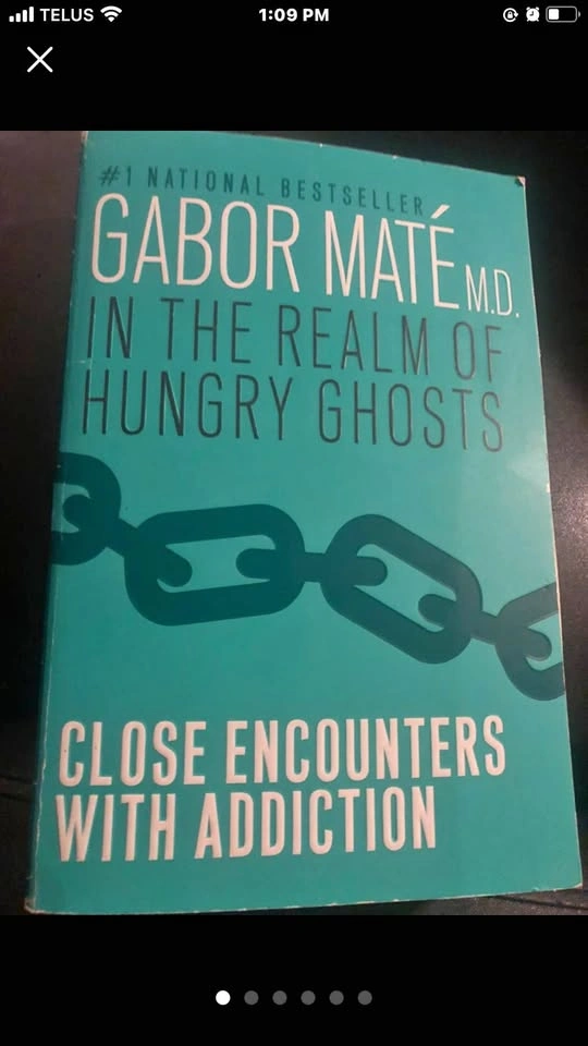 ⚽️ In the Realm of Hungry Ghosts by Gabor Maté