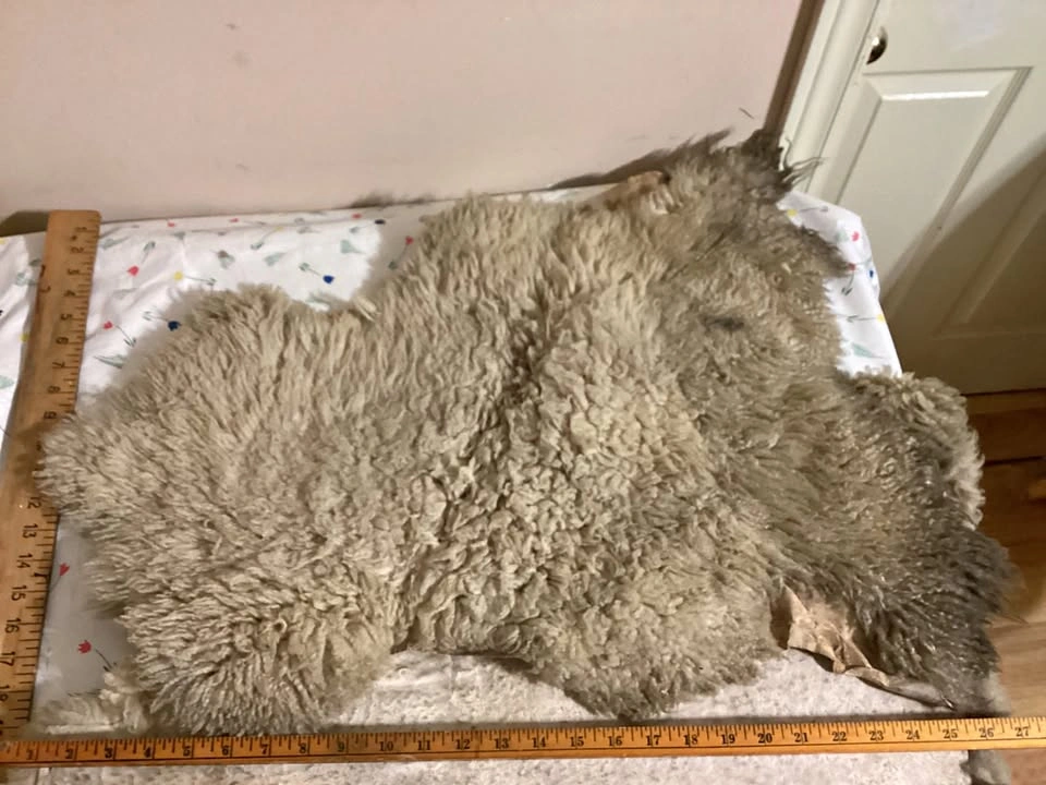 2 Sheepskin Pelts (natural rug, seat liner or throw)