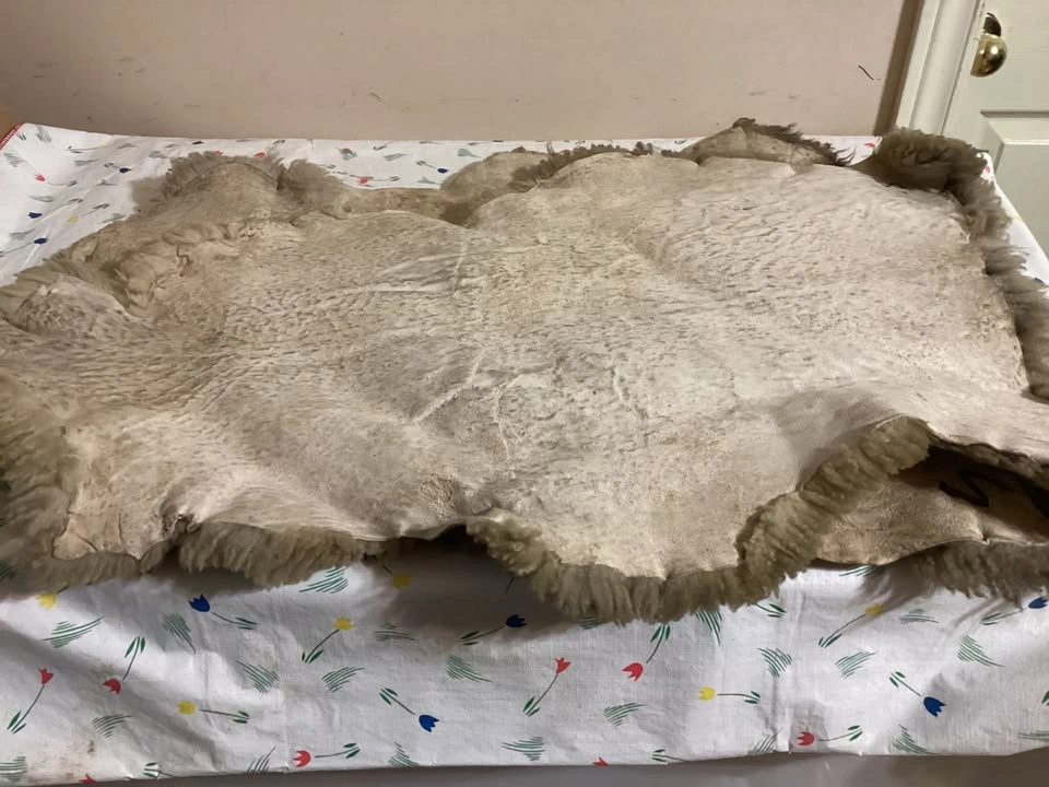 2 Sheepskin Pelts (natural rug, seat liner or throw) - photo 3