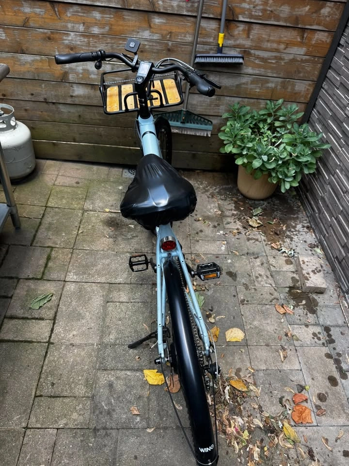 Blue Electric Bike (Wing Bike Freedom ST.2) - photo 3