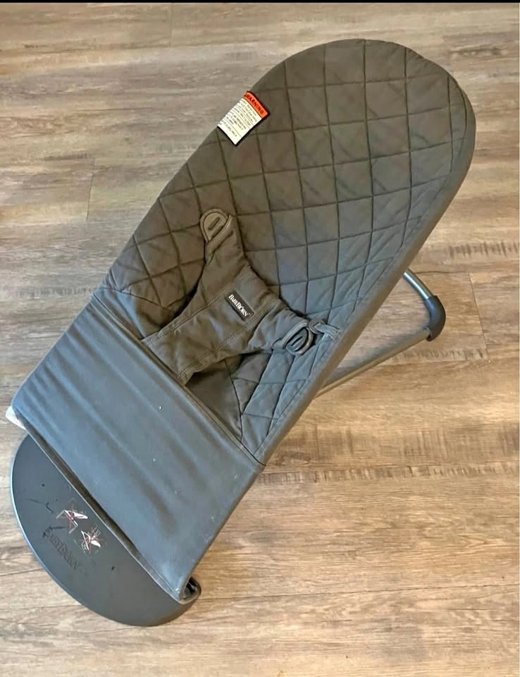 Baby Bjorn Baby Bouncer