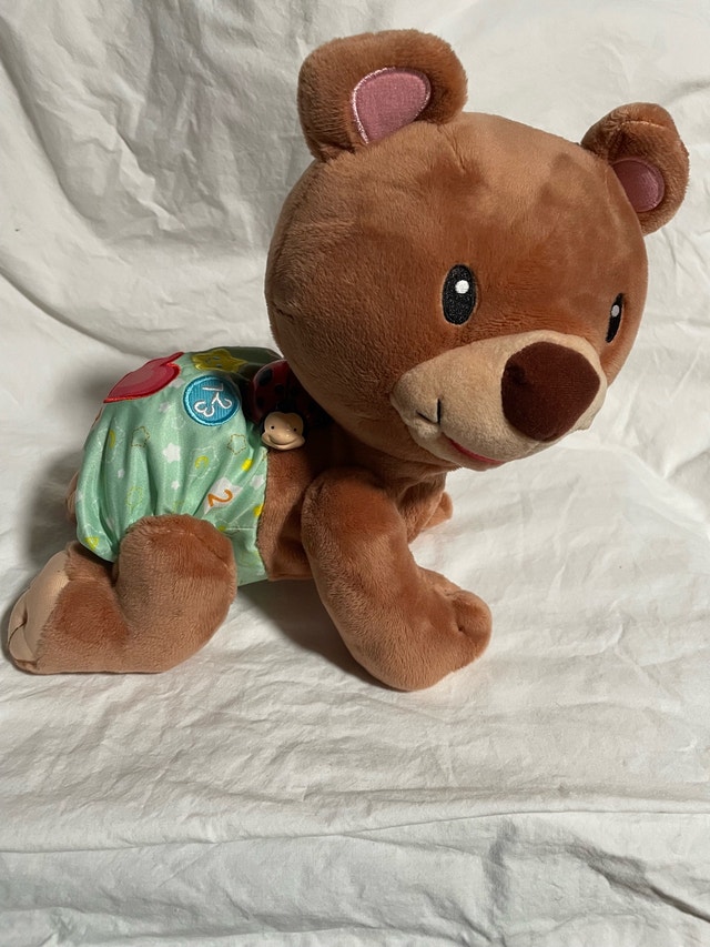 VTech Explore & Crawl Learning Cub – Working!
