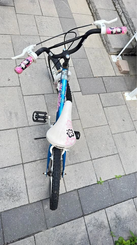 Avigo Inspire Kids Bike