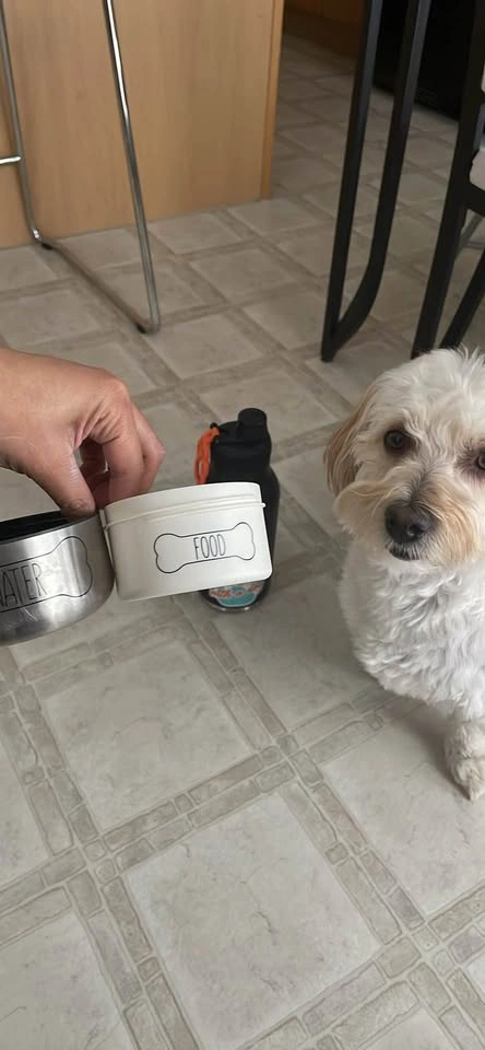 Dog waterbottle - photo 3