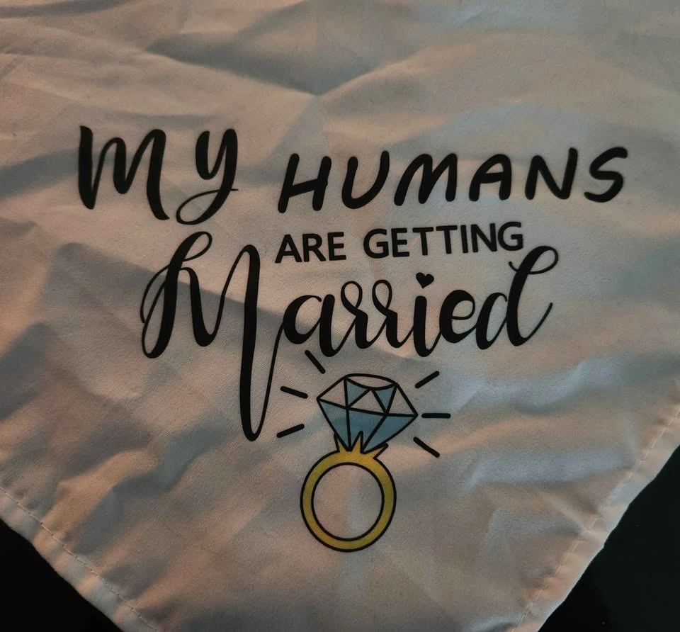 White Pet Bandana - My Humans Are Getting Married - photo 2