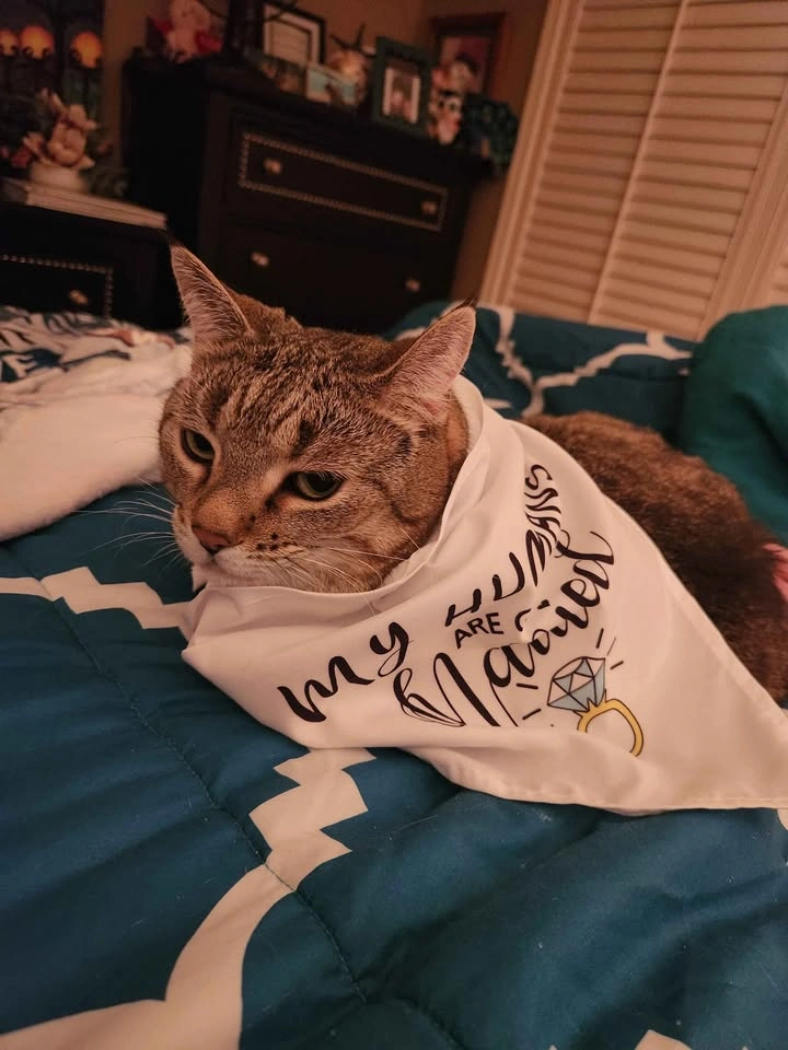 White Pet Bandana - My Humans Are Getting Married - photo 3