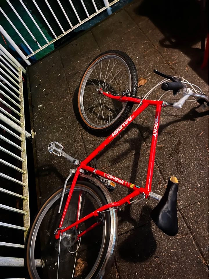 Bike - photo 2