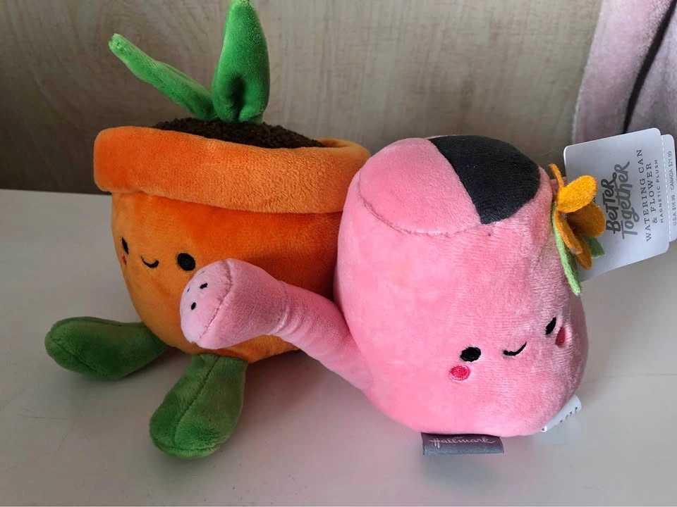 ⚽️ New Watercan and Succulent plushie