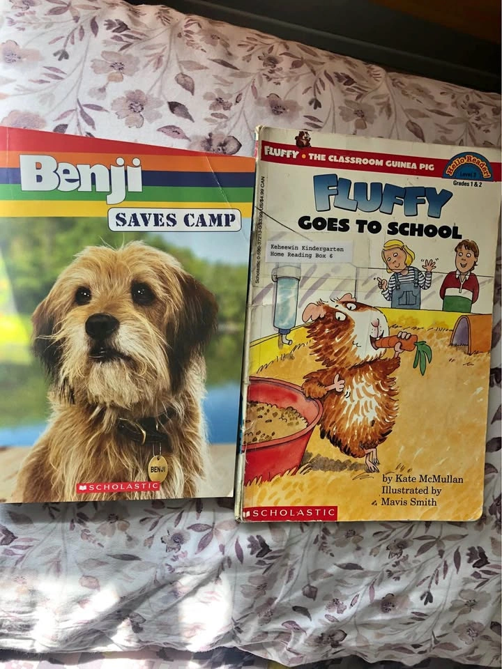 ⚽️ 2 beginners chapter books
