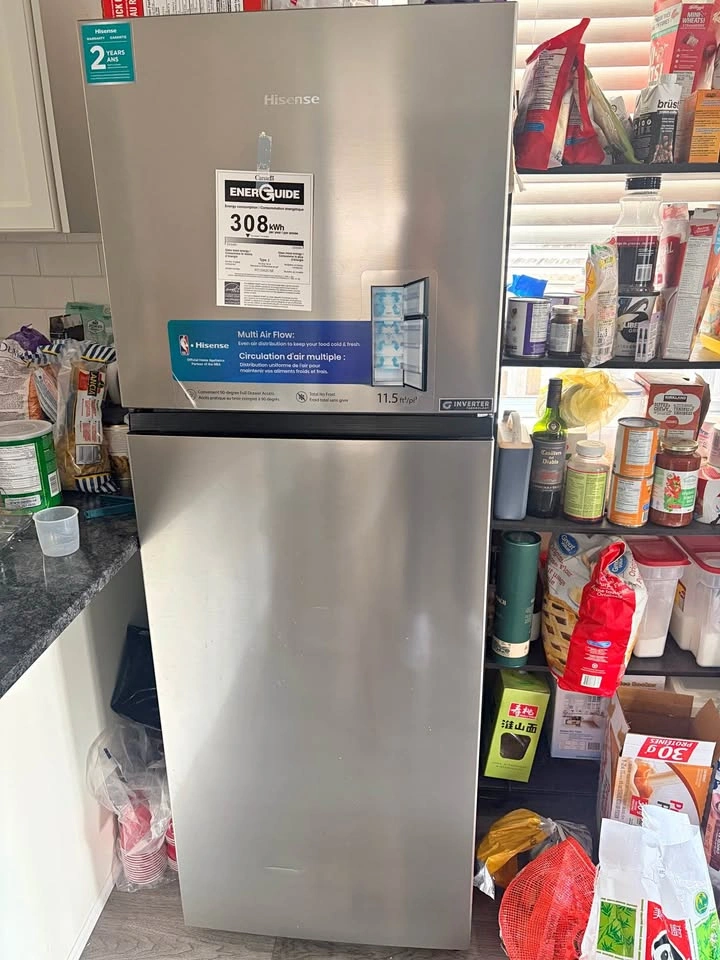 Hisense 24 in. 11.5 cu ft. Stainless Steel Fridge
