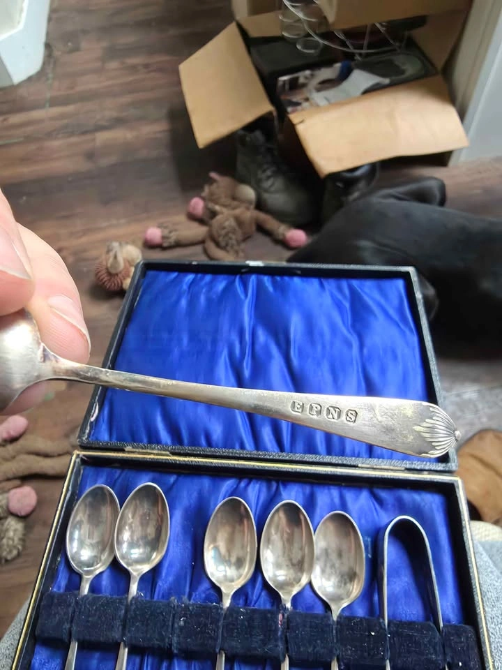 Vintage Boxed EPNS Teaspoon Set - photo 2