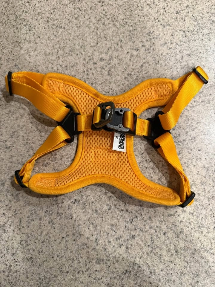 Charlie’s Backyard Comfort Harness for Small Dogs - photo 3