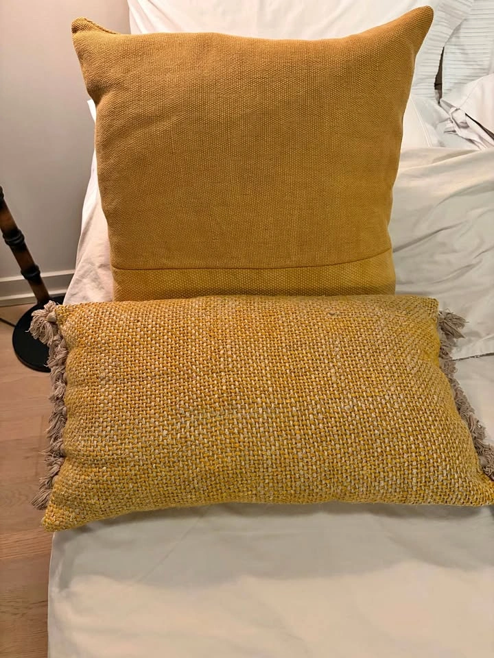Set of 2 West Elm Throw Pillows