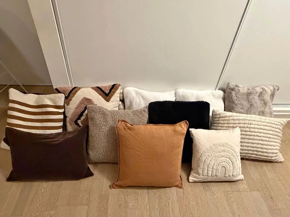 Assorted Decorative Throw Pillows