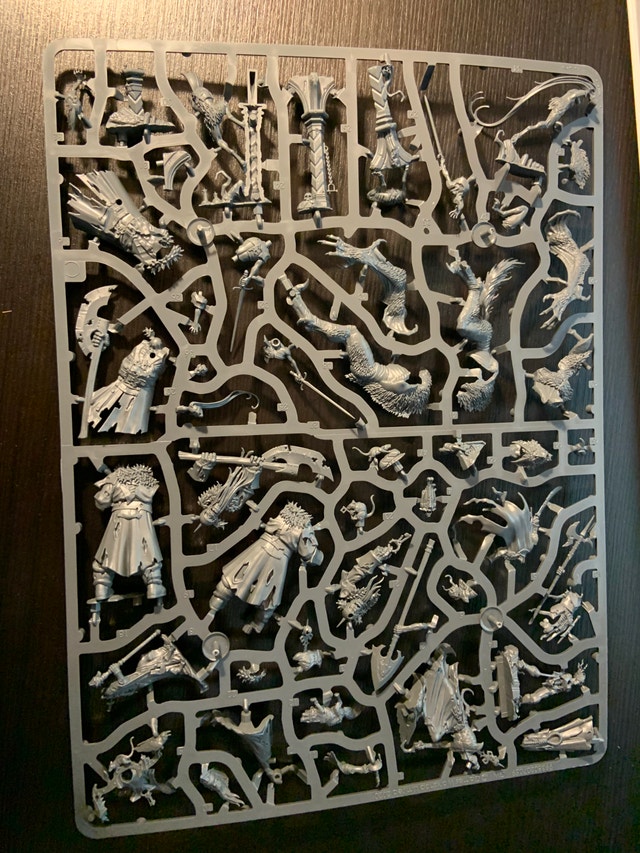 Warhammer Age of Sigmar: Radukar's Court - photo 2