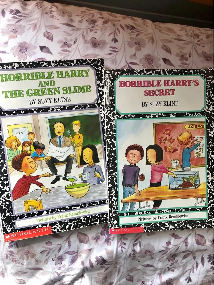 ⚽️ 2 Beginner Chapter books by Susie Klein