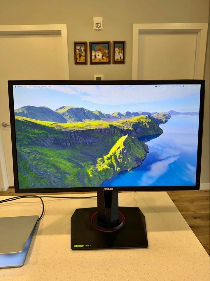 ASUS Gaming Monitor with NVIDIA G-SYNC