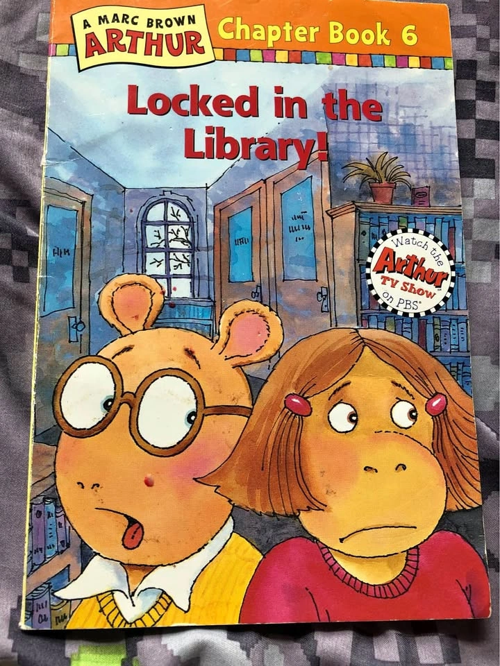 ⚽️ Beginner Chapter Book Arther Mystery