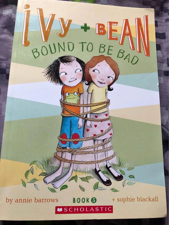 ⚽️ Ivy and Bean Chapter book beginner readers