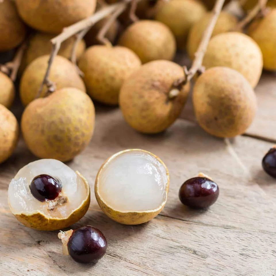 Longan Fruit Tree - Seed Grown - photo 5