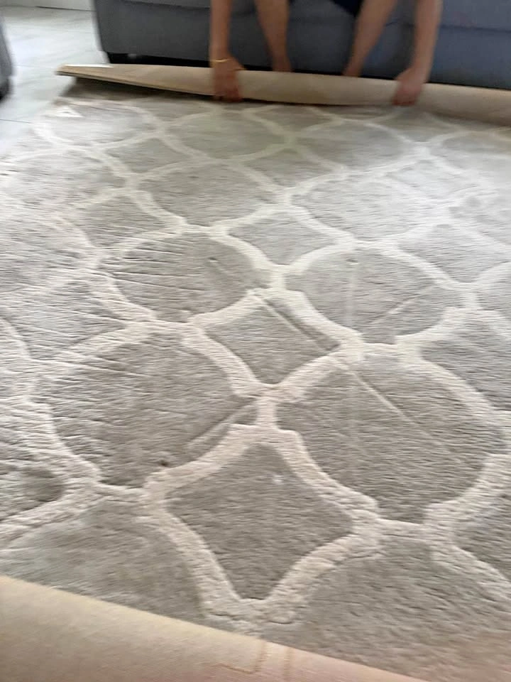 Area rug 6’ 7” x 9’ 10”
