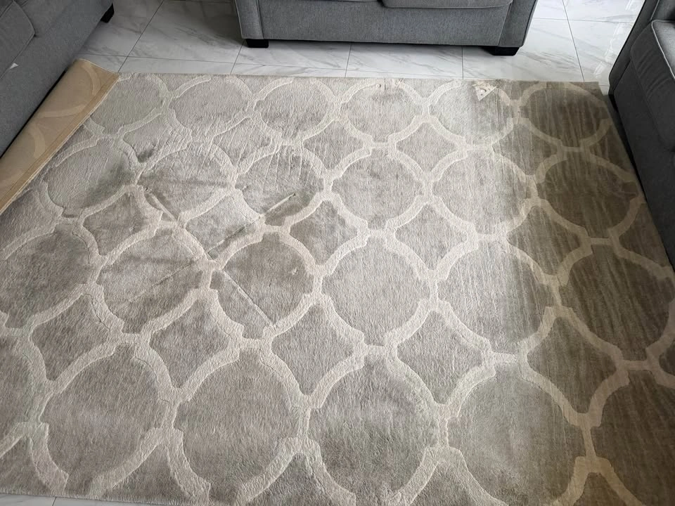 Area rug 6’ 7” x 9’ 10” - photo 2