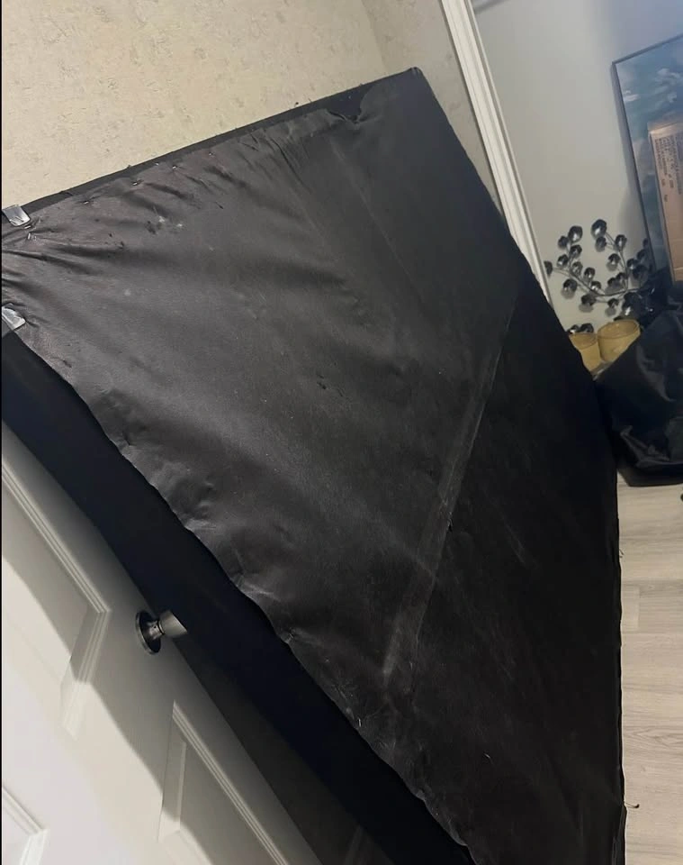 Sealy Posturepedic 15 inch Queen with protector and box spring - photo 4