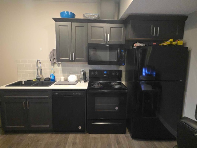 North Edmonton Basement Suite - Utilities, Internet & Cable - photo 4