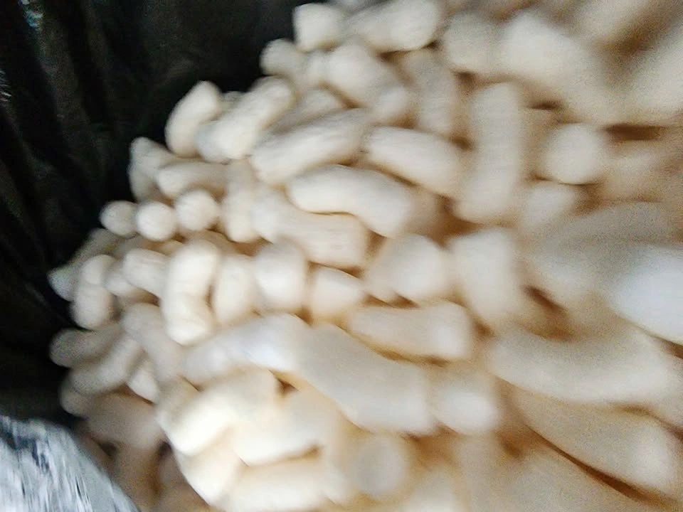 Packing peanuts - photo 5