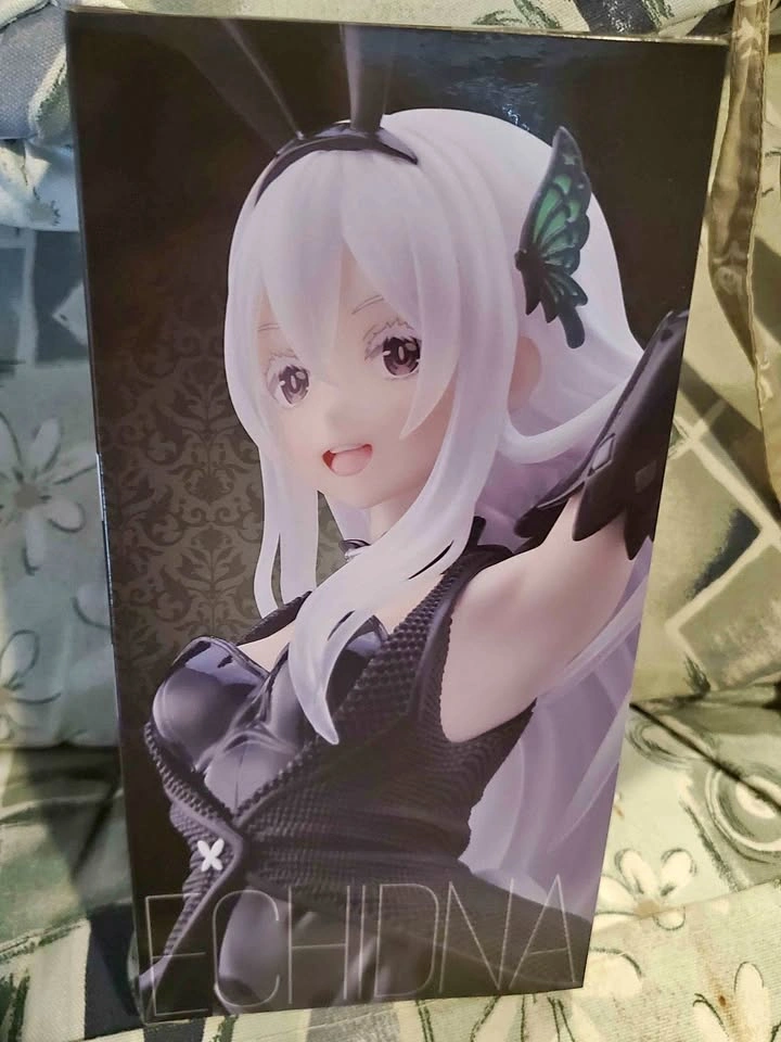 SEALED Coreful Echidna Bunny Ver. Taito Prize Figure