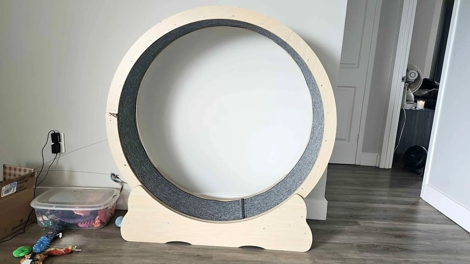 Cat wheel