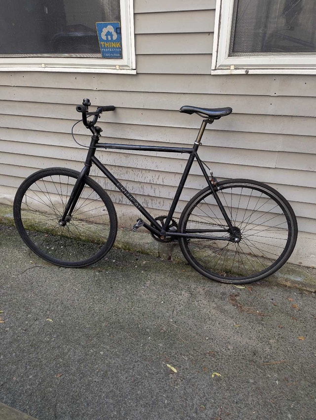 Critical single-speed bike