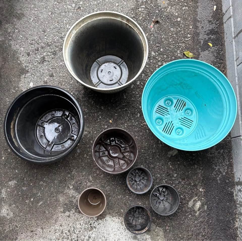 Assorted Size Plant Pots Lot of 8 - photo 2