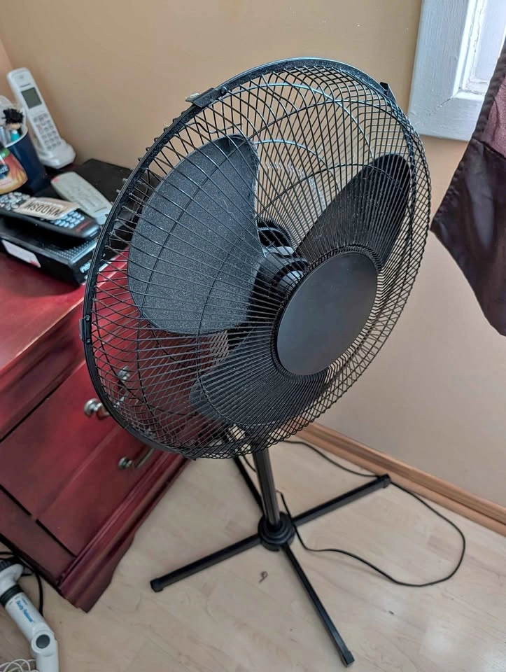 Black Rotating Speed Fan