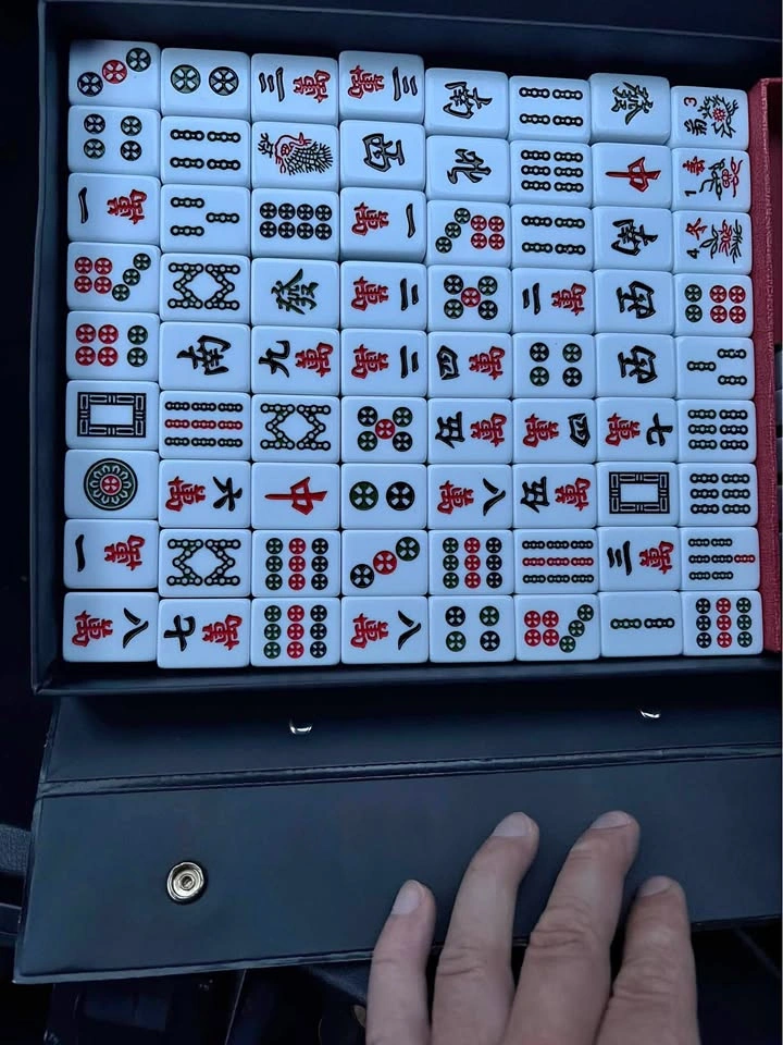 Mahjong Set with Portable Carrying Case