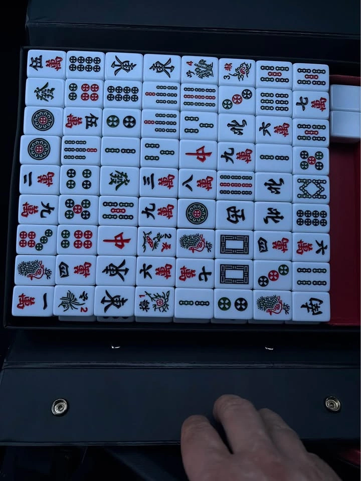 Mahjong Set with Portable Carrying Case - photo 2