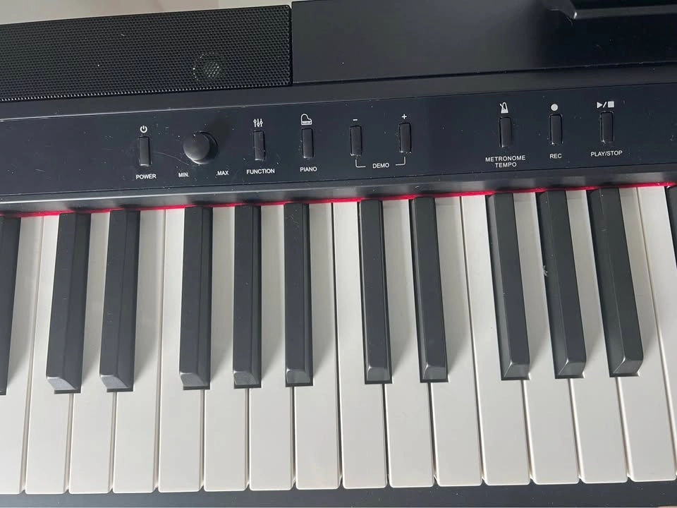 STRICH 88-Key Flagship Digital Piano - Real Hammer Action - photo 2