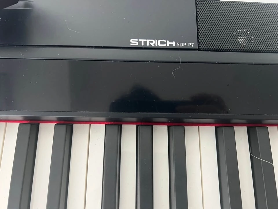 STRICH 88-Key Flagship Digital Piano - Real Hammer Action - photo 3